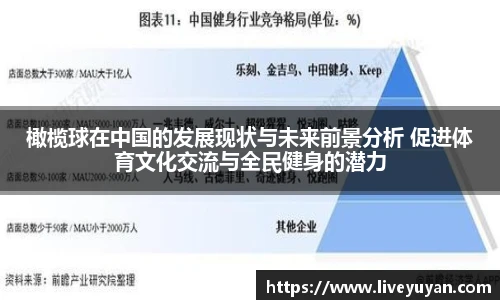 橄榄球在中国的发展现状与未来前景分析 促进体育文化交流与全民健身的潜力