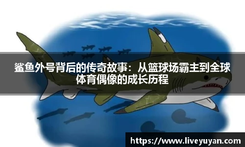 鲨鱼外号背后的传奇故事：从篮球场霸主到全球体育偶像的成长历程