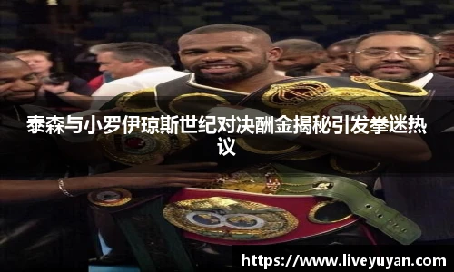 泰森与小罗伊琼斯世纪对决酬金揭秘引发拳迷热议