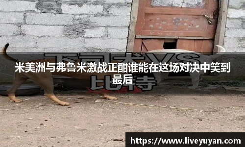 米美洲与弗鲁米激战正酣谁能在这场对决中笑到最后
