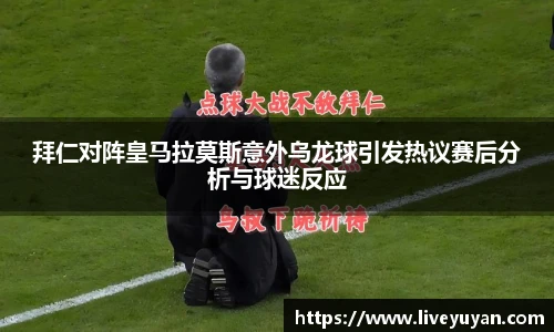 雨燕体育