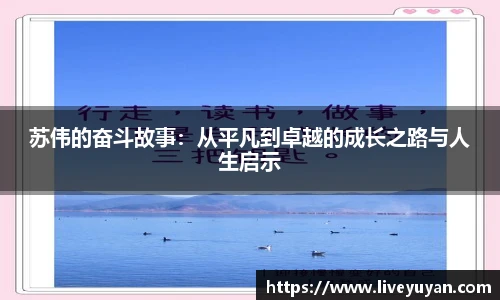 雨燕高清直播
