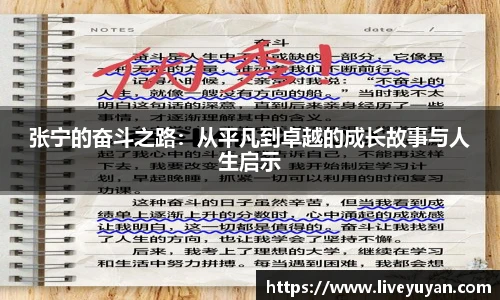 雨燕体育直播